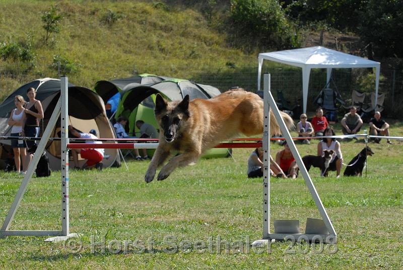 agistaats08 (161).JPG